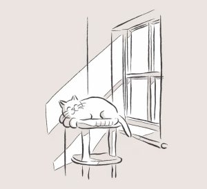 老猫の為のキャットタワー